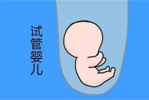 培养西安捐卵宝宝艺术细胞的小技巧